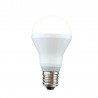 Ampoule led 5.5W 2700K E27 Forme standard