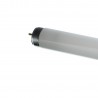 Tube fluorescent 14W 4300K Blanc brillant 360mm Ø 26mm