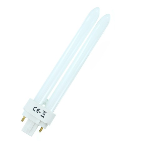 Ampoule 26W 3000K G24q3 Basse consommation LYNX DE